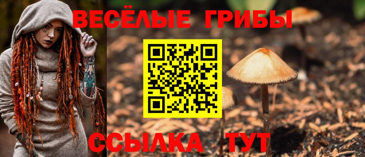 Котлас  Галлюциногенные грибы мухоморы  Вход с VPN 