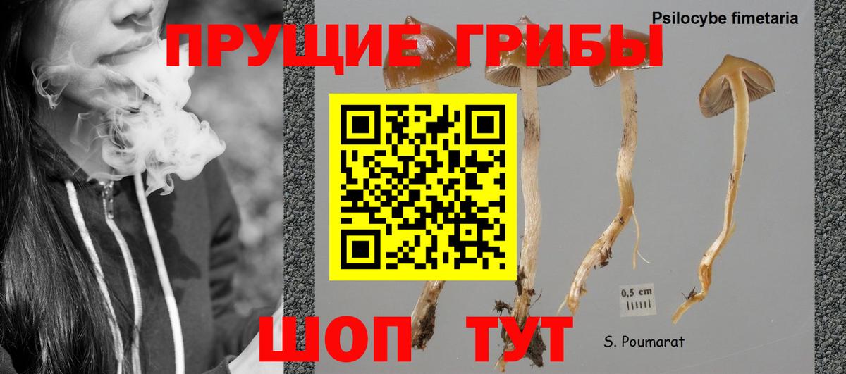 Галлюциногенные грибы мухоморы Котлас